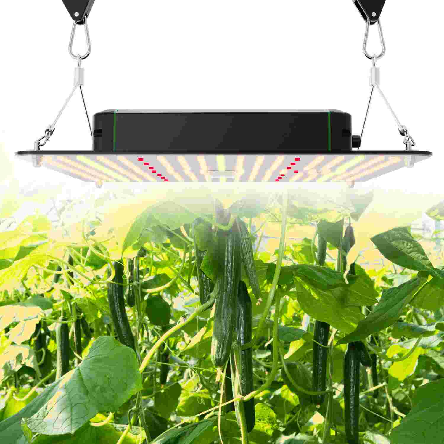 120W Quantum Board Light LED lights