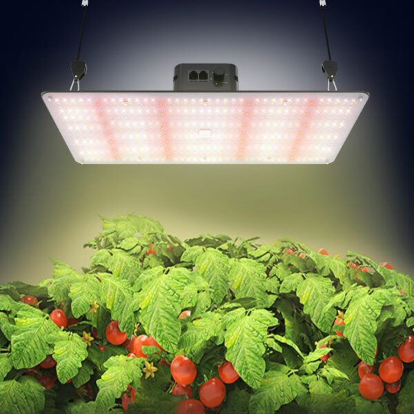 lightmyleaf 240w quantum board grow light