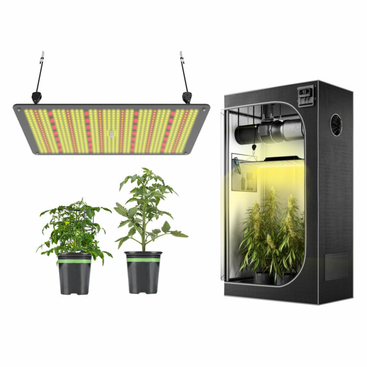 Lightmyleaf Full Spectrum 240W LED Grow Light with Samsung LM301B