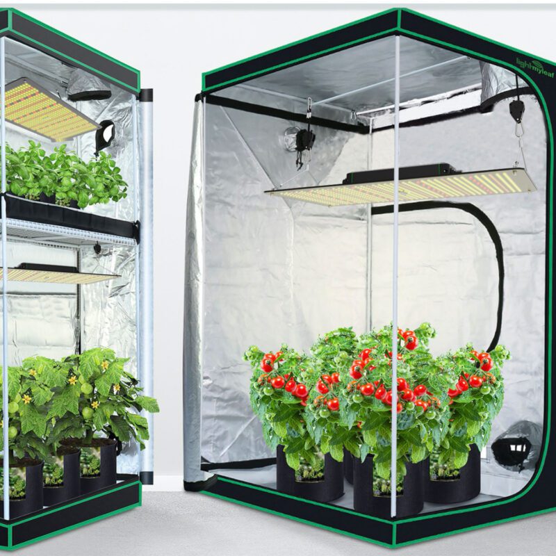 Full Spectrum LED Grow Lights with Samsung LM301b/LM 301h