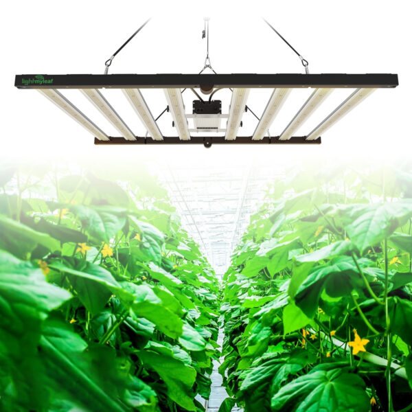 Lightmyleaf 800W 1000W 4x4ft 4x6ft 5x5ft 6x6ft Dimmable Full Spectrum CO2 LED Grow Light