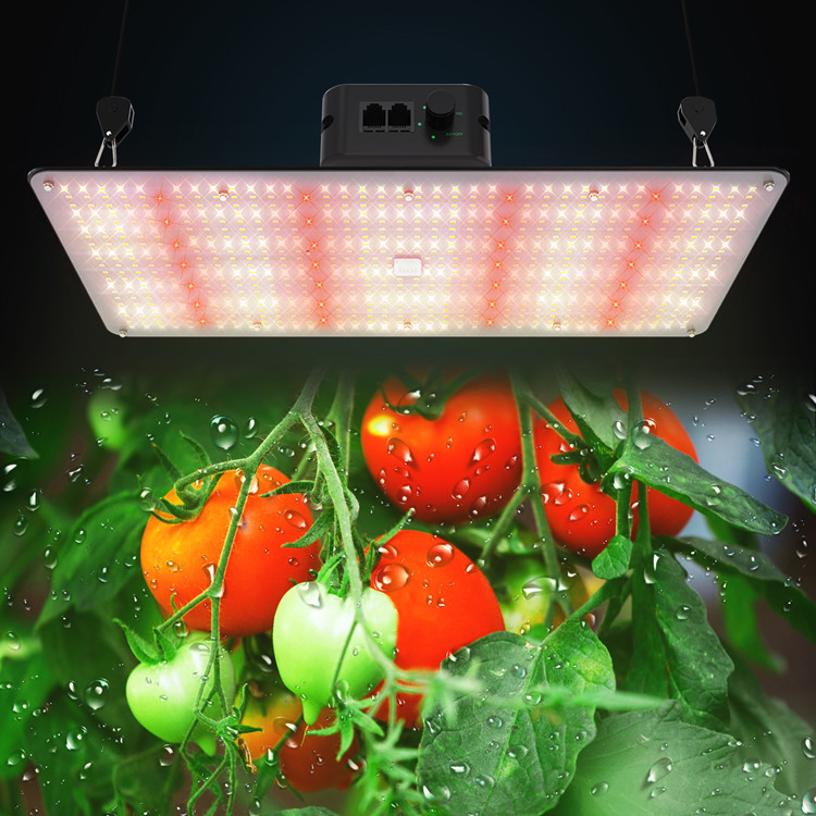 An Ultimate Guide To Everything About LED Panel Grow Lights - Lightmyleaf