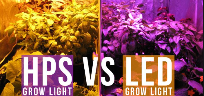 Lightmyleaf grow light article