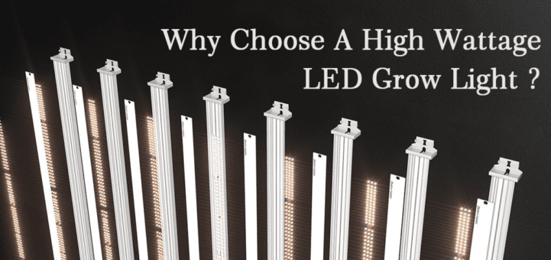 Lightmyleaf grow light article