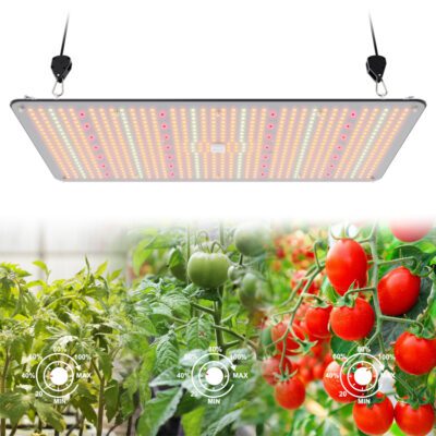 Lightmyleaf quantum board grow light article