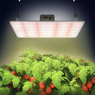 Lightmyleaf quantum board grow light article