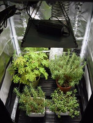 Lightmyleaf quantum board grow light article