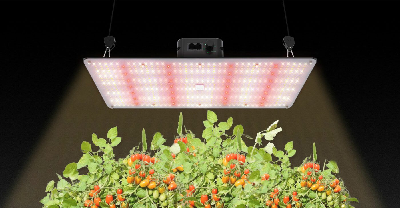 Lightmyleaf quantum-board grow light of 240W