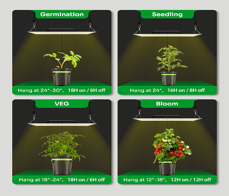 How Far Should Your LED Light Be From Your Weed Plant? Lightmyleaf
