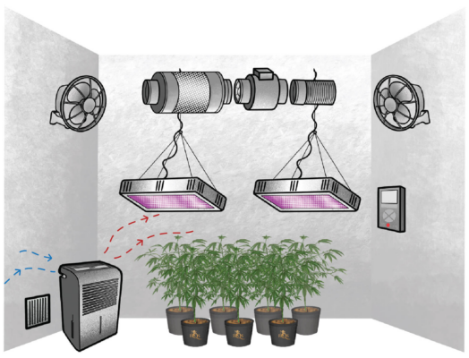 lightmyleaf grow light blog