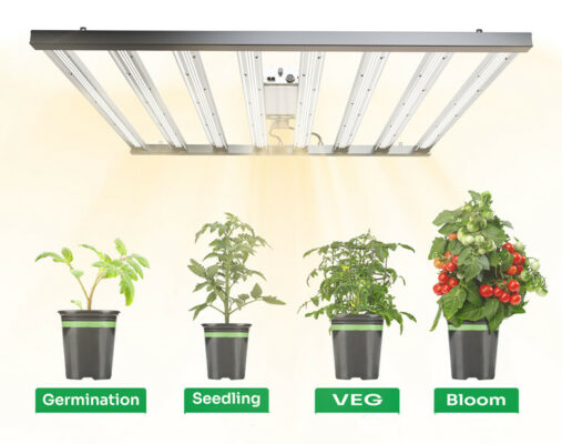 lightmyleaf grow light blog