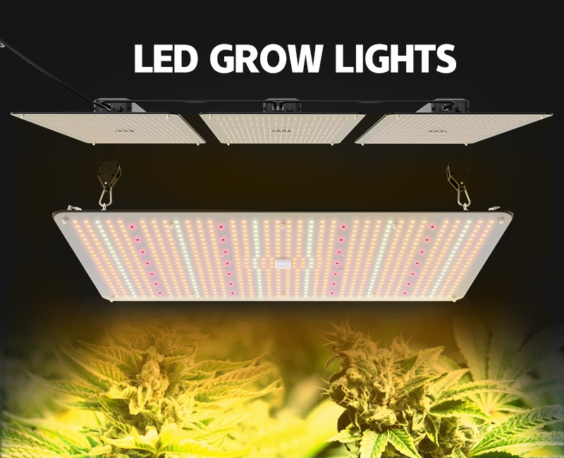 Lightmyleaf Full Spectrum 240W LED Grow Light with Samsung LM301B