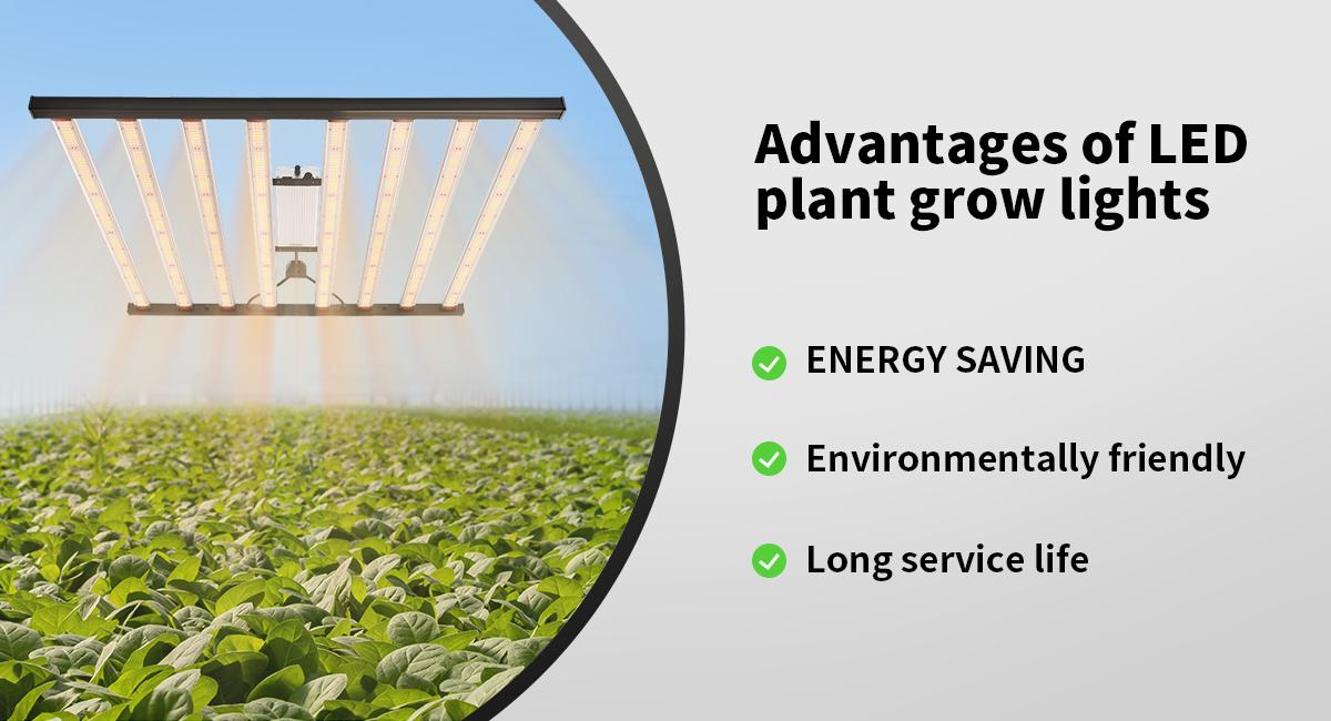 LED Grow Lights for Plants LED Grow Lights for Plants
