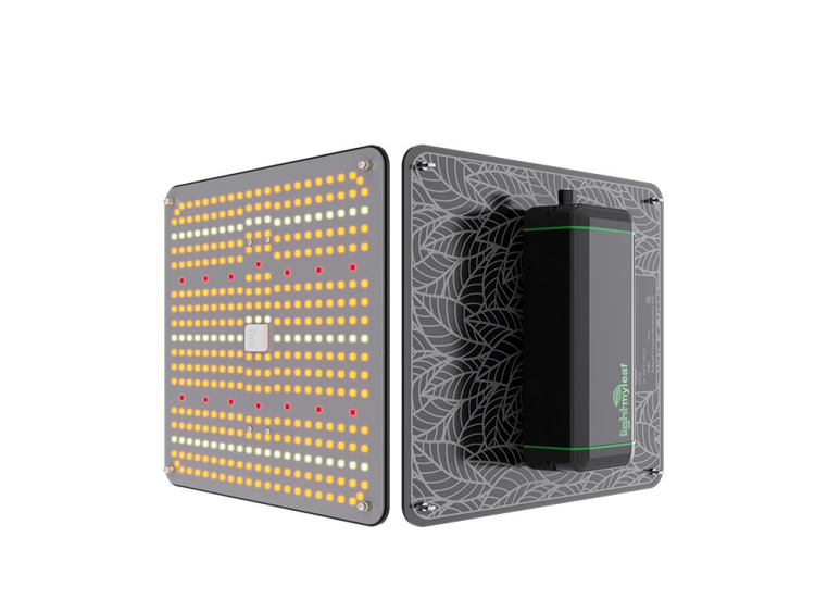 Best LED Quantum Board Grow Lights