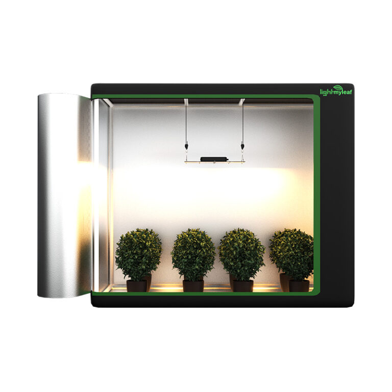 How Many Watts for a 4x2 Grow Tent? Lightmyleaf