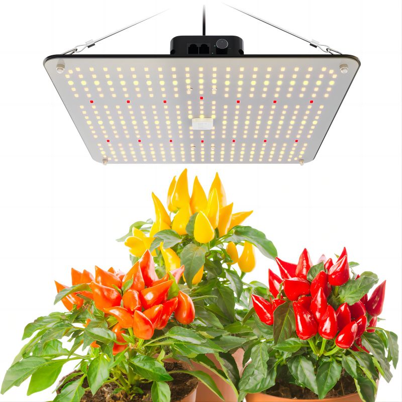 Quantum Board Grow Light 120W Quantum Board Grow Light 120W