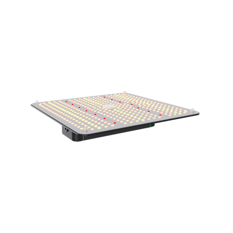 Quantum Board Grow Lights Quantum Board Grow Lights
