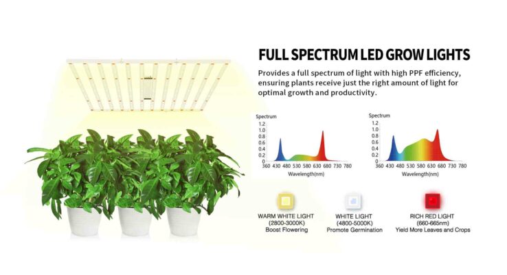 Lightmyleaf Full Spectrum 1200 Watt LED Grow Light Bar